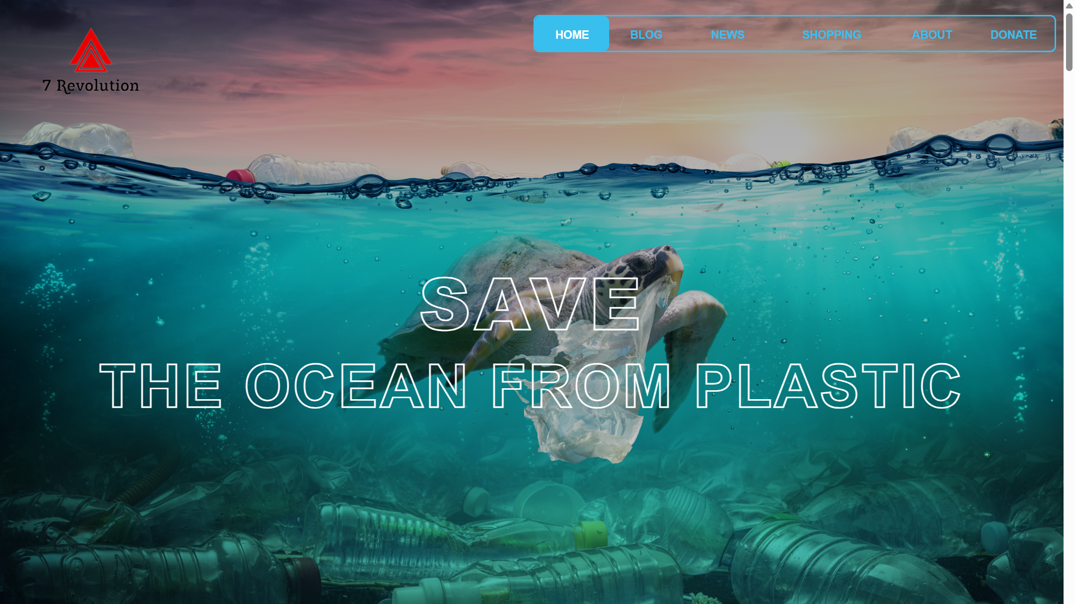 Plastic pollution website project